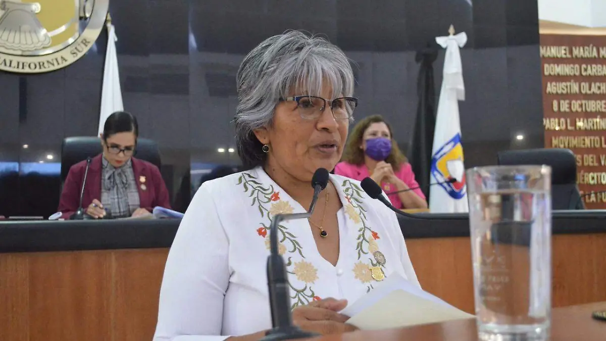 Diputada Maria Luisa Trejo